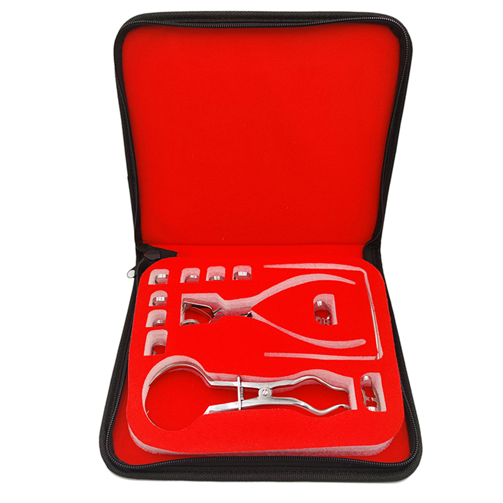 치과 댐 구멍 펀처 세트 가죽 가방 펜치 치과 의사 천 - Leatherwork Punching Tool 리뷰 및 가격