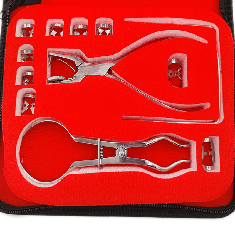 치과 댐 구멍 펀처 세트 가죽 가방 펜치 치과 의사 천 - Leatherwork Punching Tool 리뷰 및 가격